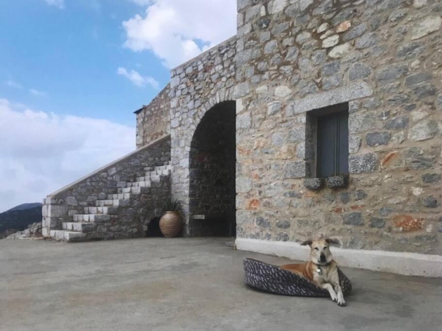 Zen In Mani Lagia